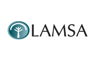 LAMSA